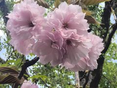 -太阳宫公园