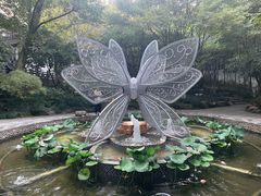 -杭州黄龙洞
