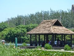-前关湿地公园