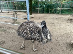 -青藏高原野生动物园