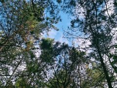 -帽儿山国家森林公园