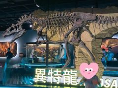 -香港科学馆