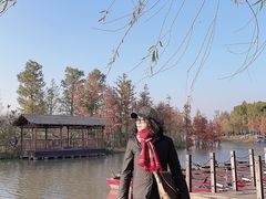 -上海长兴岛郊野公园