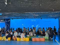 -海合安成都极地海洋公园