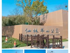 -羊山湖公园