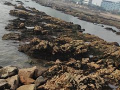 -青岛第二海水浴场