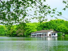 -上海共青森林公园