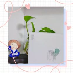 -谷雨官方旗舰店