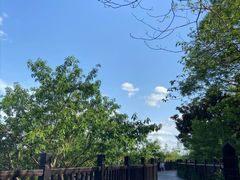 -仙海旅游度假区