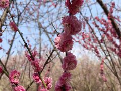 -蜀冈西峰生态公园