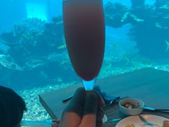 -海棠湾洲际-涛·海底餐厅·美人鱼·自助餐·海底隧道