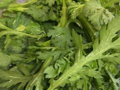 -金鼎雪山牦牛杂火锅(理县总店)