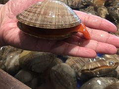 -渔公码头海货全海鲜自助(海滨旅游路店)