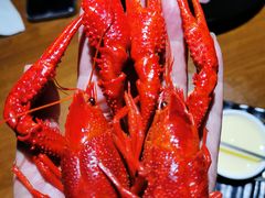 -红盔甲·小龙虾(天钥桥店)