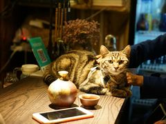 -蘭葶花酒馆(鼓楼店)