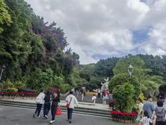 -金鸡山公园