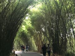 -鱼儿纸包鱼(常乐店)