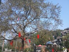 -国恩寺