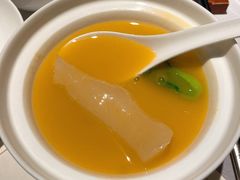 金汤花胶肚-屋里厢上海菜馆