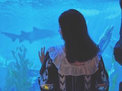 -暹罗海洋世界
