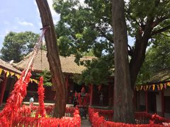 -少华山国家森林公园