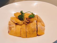 白切鸡-红城阁·上海味道(四平路店)