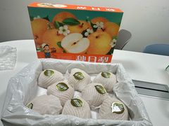-莱阳站