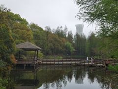 -上海滨江森林公园
