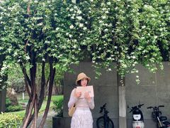 -四川大学(望江校区)