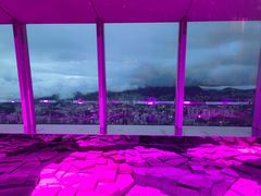 -OZONE 顶楼酒吧(香港丽思卡尔顿酒店)