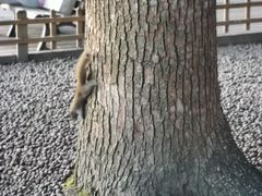 -西湖游船