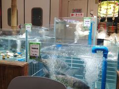 -老阿爸鲜鱼土菜(园区永旺店)