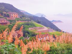 -温岭石塘海边