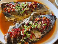 剁椒有机鱼头-丰乐餐厅·始于1999·本地老字号