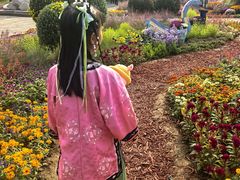 -北京十三陵国家森林公园蟒山景区