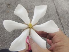 -神光山国家森林公园