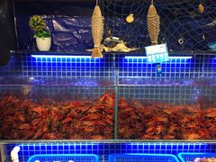 -必点海鲜·鲅鱼水饺(鞍山西道店)