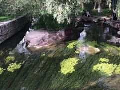 -水磨沟公园