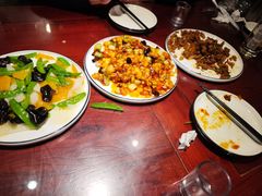 -邵年鸽(杨庄店)