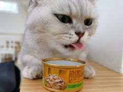 -李小姐の猫咖啡馆(五角场店)