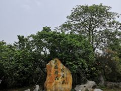 -天适樱花悠乐园