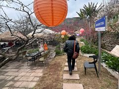 -桃源山庄·水蜜桃采摘·柴火鸡·烧烤团建(龙泉山店)