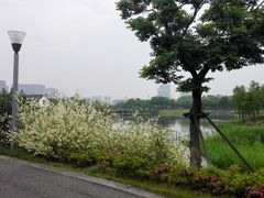 -尚贤河湿地