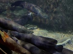 -太平洋海底世界