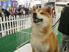 -东浩兰生上海世博展览馆