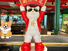 -京悦南门涮羊肉·羊蝎子火锅(田林路店)