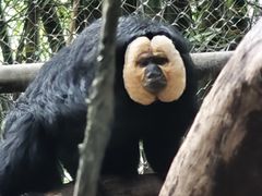 -广州长隆野生动物世界