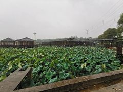 -军山湖云水间水上餐厅(进贤店)