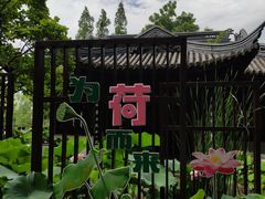 -无锡蠡湖国家湿地公园-蠡园