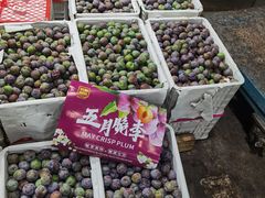 -双福水果批发市场